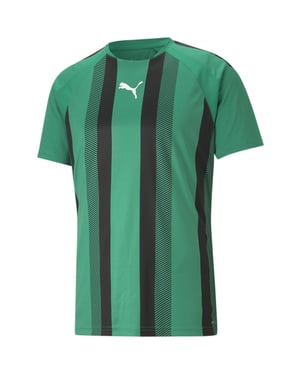 Men's Puma Teamliga Striped Jersey T-Shirt in Green/Black/Wht