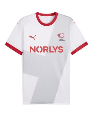 Men's Puma Dhf Away Jersey T-Shirt in White/Light Gry