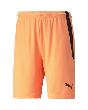 Men's Puma Teamliga Shorts Football Shorts in Neon/Black