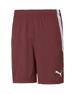 Men's Puma Teamliga Shorts Football Shorts in Cordovan/White