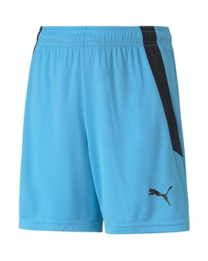 Boys Puma Teamliga Shorts Jr Football Short Unisex Kids in BlueAtoll-Black