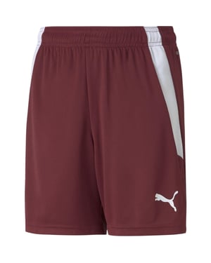 Boys Puma Teamliga Shorts Jr Football Short Unisex Kids in Cordovan-White