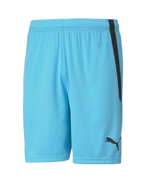 Men's Puma Teamliga Shorts Football Shorts in Blue/Blk