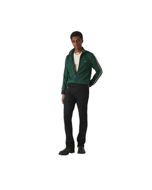 Lacoste Heren-trainingsjack met volledige ritssluiting en all-overprint, Parijs (Blauw/Groen)