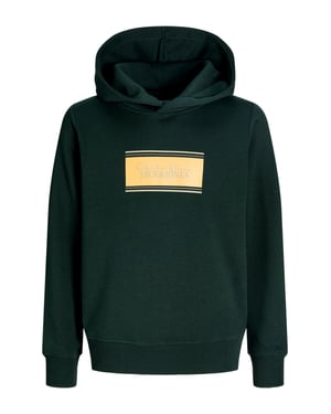Jack & Jones Junior Hoodie