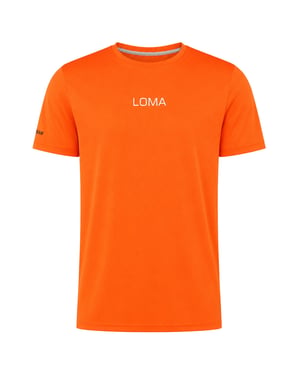 BoxRaw Loma Mens Orange T-Shirt