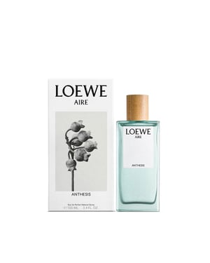 Luchtanthese Edp Vapo 100 ml