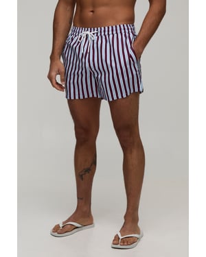 Stripe Short Length Swim Short