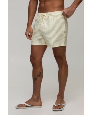 Stripe Short Length Swim Short