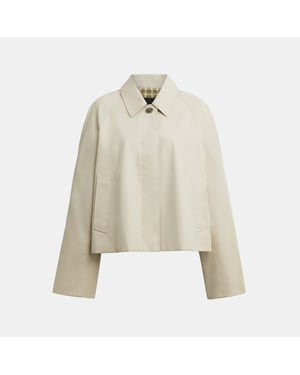 Swing Trench Coat