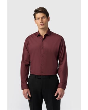 Long Sleeve Cutaway Collar Tailored Formal Shirt in Wine