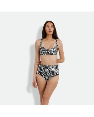 Zebra Chara Bottom