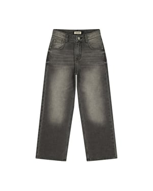 Raizzed Hanoi grey denim