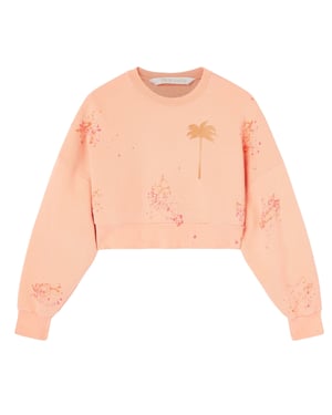 Palm Angels Pxp Painted Cropped Crew Coral