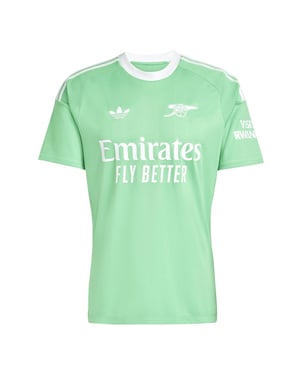 Men's adidas AFC 3 Goalkeeper Wordmark Crew Neck Jersey in Sescgr/White