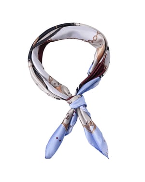 HV Polo Shawl 1005103851 daphne