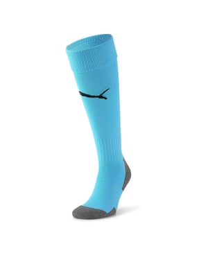 Accessories Puma Team Liga Socks Core Football Sock in Blue/Black