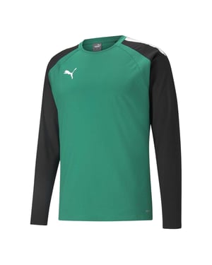 Puma Heren TeamLIGA Langsleeve T-Shirt (Groen/Zwart)