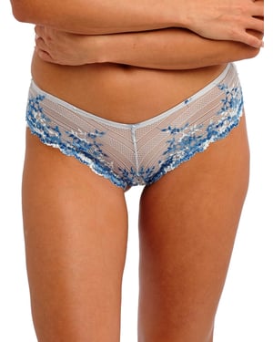 Embrace Lace Tanga