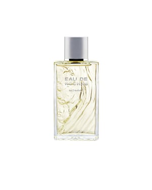 Eau De Rochas Homme Eau De Toilette Spray 100 ml