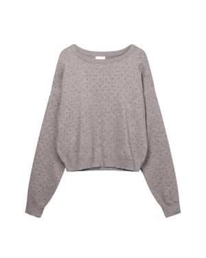 AI&KO Sweat saren vis 323 g