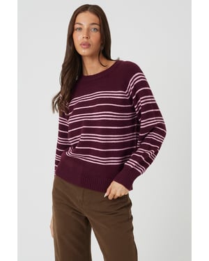 Burgundy Raglan Sleeve Stripe Jumper