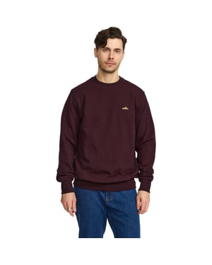 Revolution Application sweatshirt ski