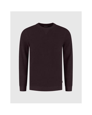 Saint Steve edwin 250495 80032 merlot