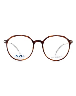 INVU Round Unisex Honey Tortoise Demi Gold B4117