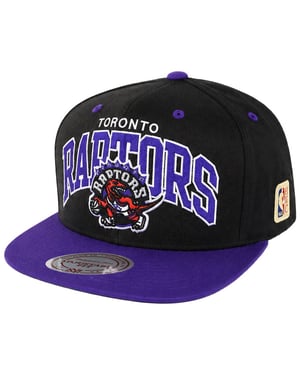 Mitchell & Ness NBA Toronto Raptors HWC Team Black/Purple Cap