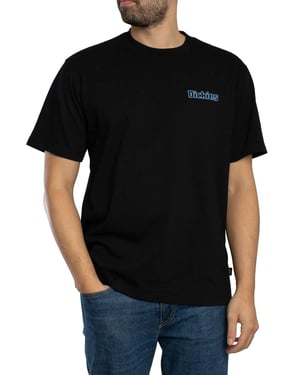 Dickies Fairland T-Shirt Met Grafische Print Op De Achterkant, Zwart