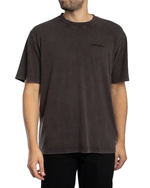 Dickies Plentywood T-Shirt, Bruin