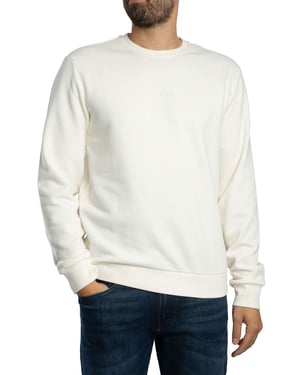 EA7 Sweatshirt Met Logo Op De Achterkant, Beige