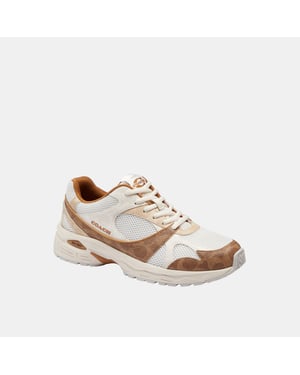 Sport Sneaker In Signature Canvas