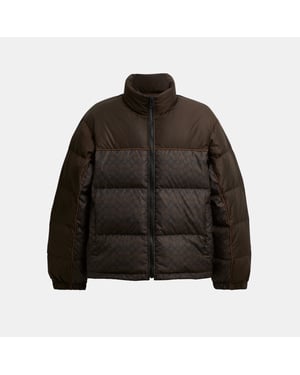 Signature Down Jacket