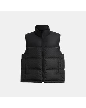 Signature Down Vest