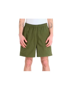 Dickies Pelican Rapids Sweatshorts, Groen