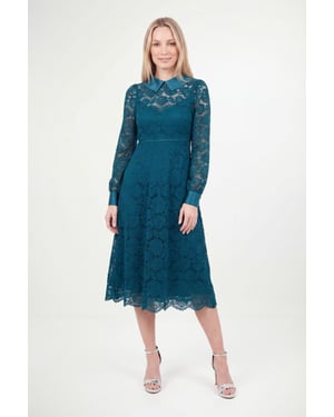 Petite Lace Collar Midi Dress