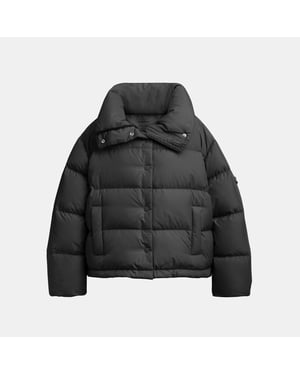 Short Puffer