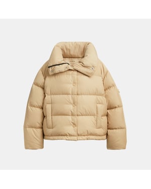 Short Puffer