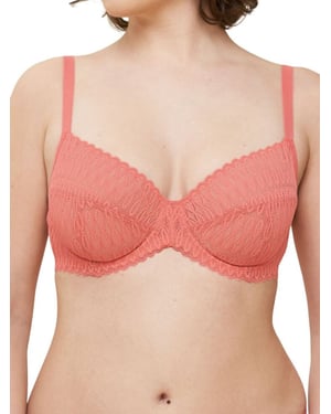 Aura Spotlight Bra