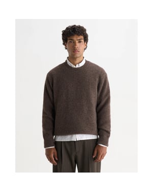 Wax London wilde crew choclate brown