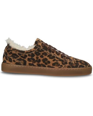 SIERRA BAILY - GL444 Leopard - Sneaker (low)