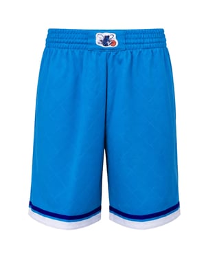 Mitchell & Ness NBA Charlotte Hornets 75th Swingman Mens Teal Shorts