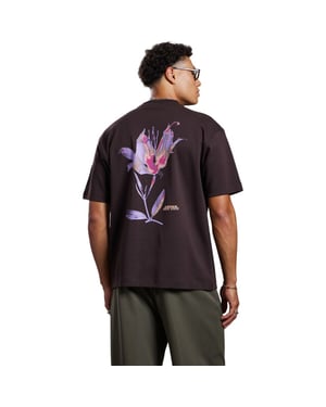 Aeden Manolo tee ganache brown