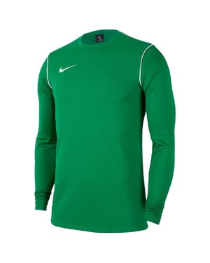 Men's Nike Park 20 Crew Neck Long Sleeve Jersey T-Shirt in Green