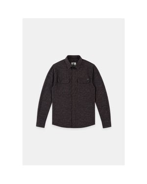 Gabbiano 3367431 hawk