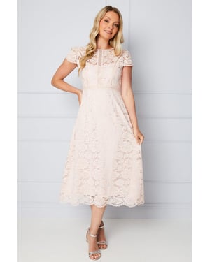 Lace Fit And Flare Midi Dress