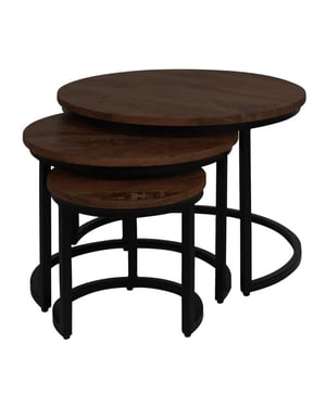 Home67 Salontafel set van 3 industriële salontafelset erjan espresso mangohout
