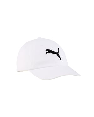 Puma-pet